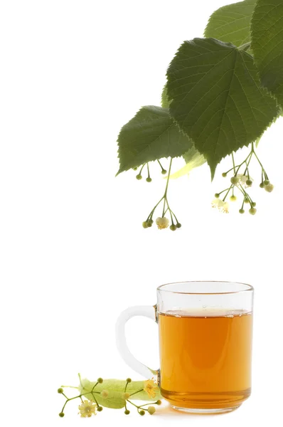 Tasse Tee und Lindenblüten auf weiß — Stockfoto