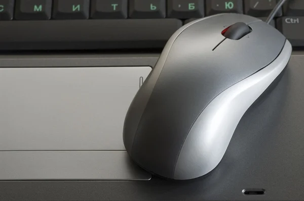 Myszy na laptopie — Zdjęcie stockowe