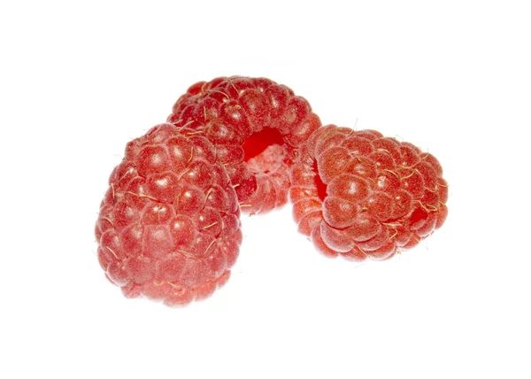 Raspberries isolated — Stock Photo, Image