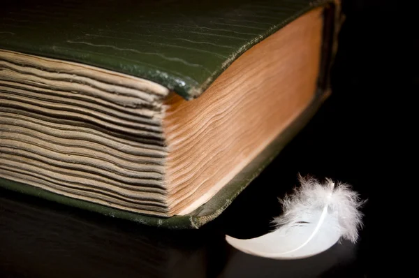 旧圣经 》 和单羽毛黑色 — 图库照片