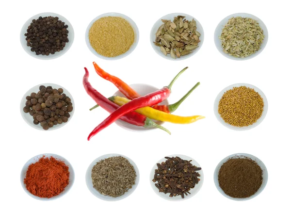 A lot of various spice — Stock Photo, Image