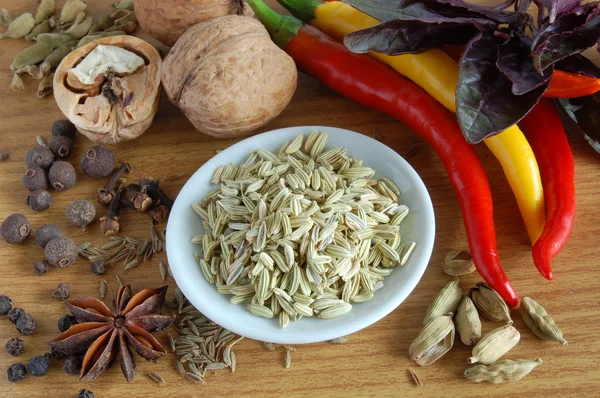 stock image Fennel