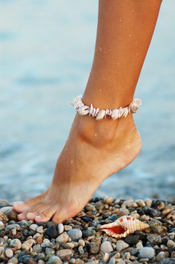 Woman's foot with the sea shell bracelet clipart