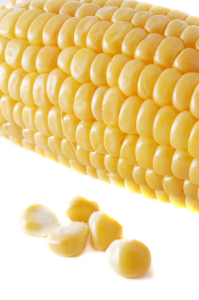 Кукурудза зерно — стокове фото