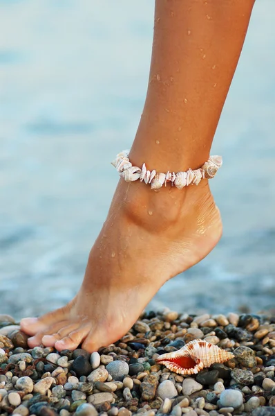Женская нога с браслетом из морской скорлупы — стоковое фото