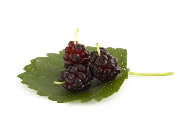 Three mulberry berries — Stock Photo, Image
