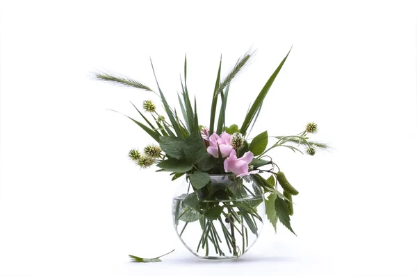 Demet çiçek natürmort beyaz — Stok fotoğraf