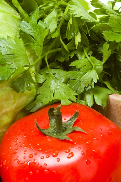 Tomaten-Stillleben — Stockfoto