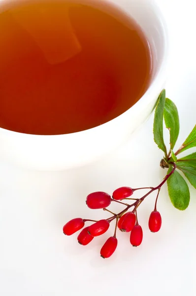 Berberys herbaty — Zdjęcie stockowe