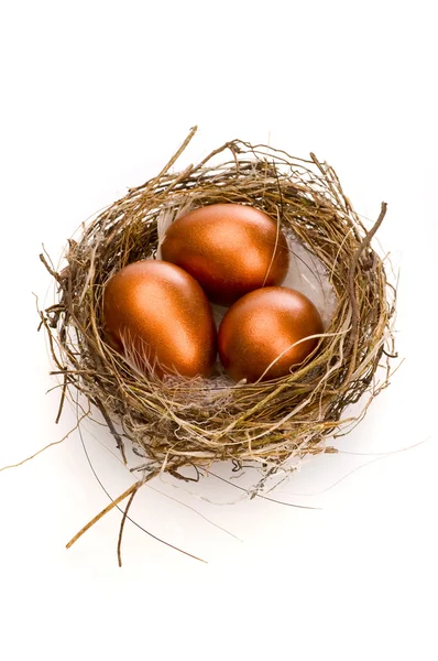 Golden eggs in nest — Stock Photo, Image