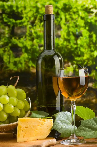 Víno zátiší — Stock fotografie