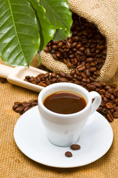 Kawa i cap kawy — Zdjęcie stockowe