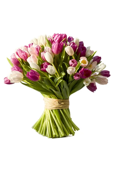 Tulipán kytice — Stock fotografie