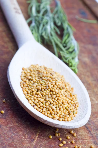 Mustard spice in spoon — Free Stock Photo