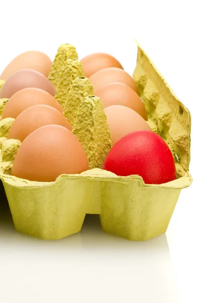 Caixa de ovo, diferem um . — Fotografia de Stock