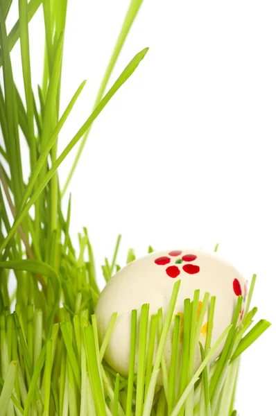 Великоднє яйце в зеленій траві — стокове фото