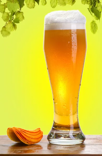 Ποτήρι μπύρα και λυκίσκου — Φωτογραφία Αρχείου