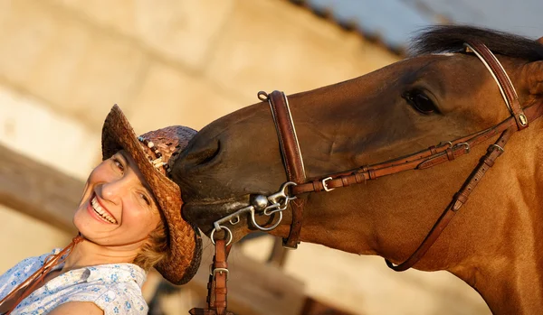 Häst försöker äta en hatt — Stockfoto