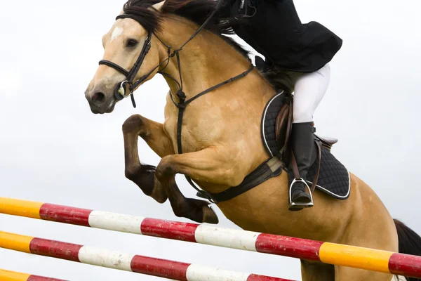 Cavallo con jokey jumping oltre la recinzione, dettaglio Immagini Stock Royalty Free