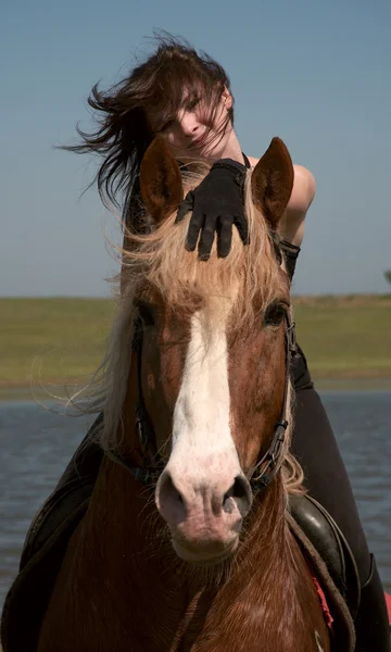 Ragazza su un cavallo — Foto Stock