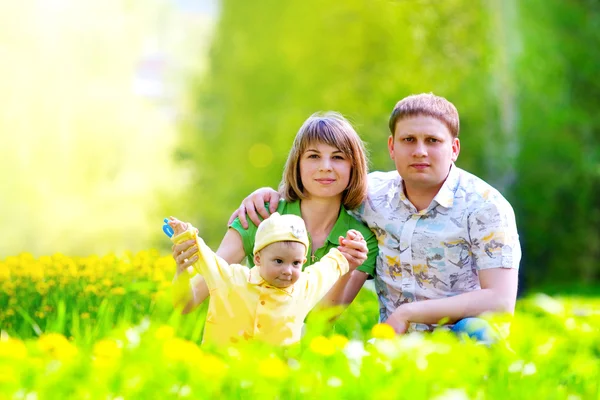 Familie im Gras — Stockfoto