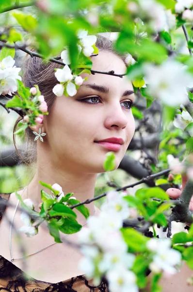 In the apple blossom — Stock Photo, Image