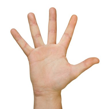 Hand (palm) clipart