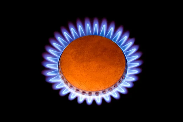 Flames from gas like a flower — Stock Photo, Image