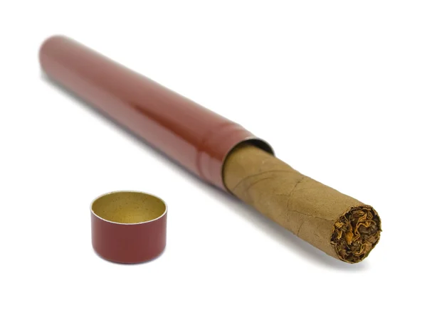 Cigar in box — Stock Photo, Image