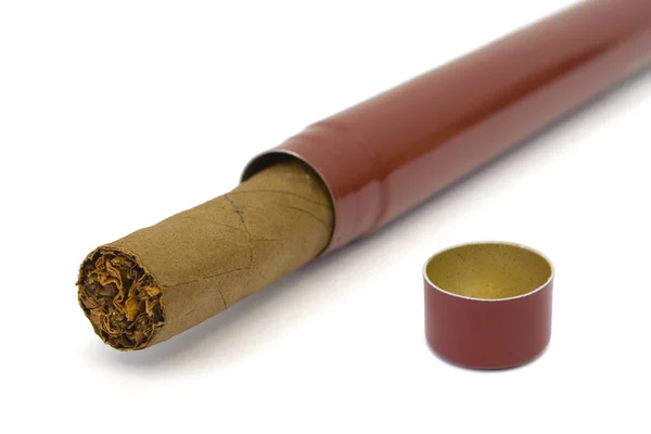 Cigar in box, close-up — Stock Photo, Image