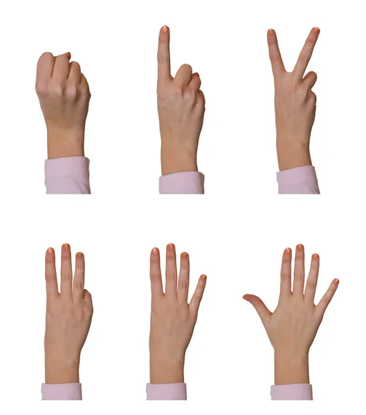 Handen, tellen van 0 tot en met 5 — Stockfoto