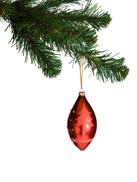 Větve vánočního stromu — Stock fotografie