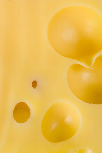 Gros plan sur le fromage — Photo