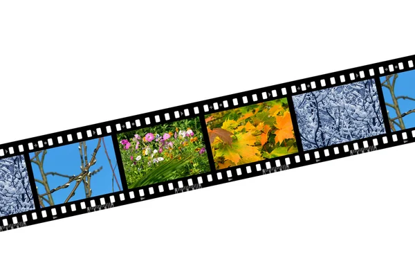 Temporadas de la naturaleza en marcos de película —  Fotos de Stock