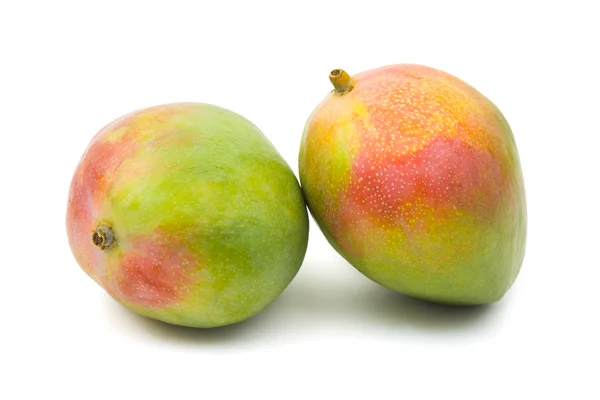 Фруктовый манго — стоковое фото