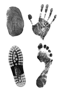 Printout of body parts and shoe clipart