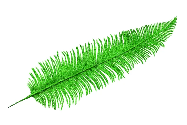 Folha de palma decorativa — Fotografia de Stock