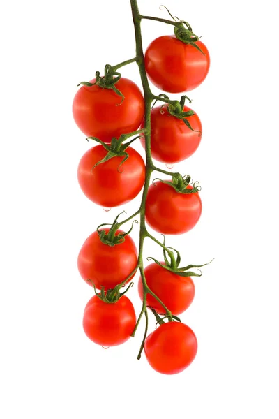 赤い熟したトマト — ストック写真