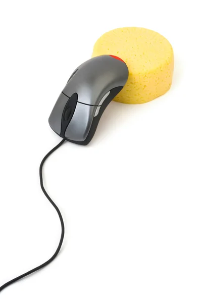 Ποντίκι του υπολογιστή και τυρί — Φωτογραφία Αρχείου