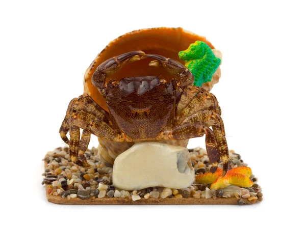 Souvenir krab en conch, kopie-ruimte op steen — Stockfoto