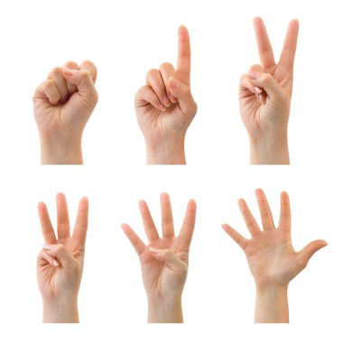 Counting hands (0 to 5) clipart