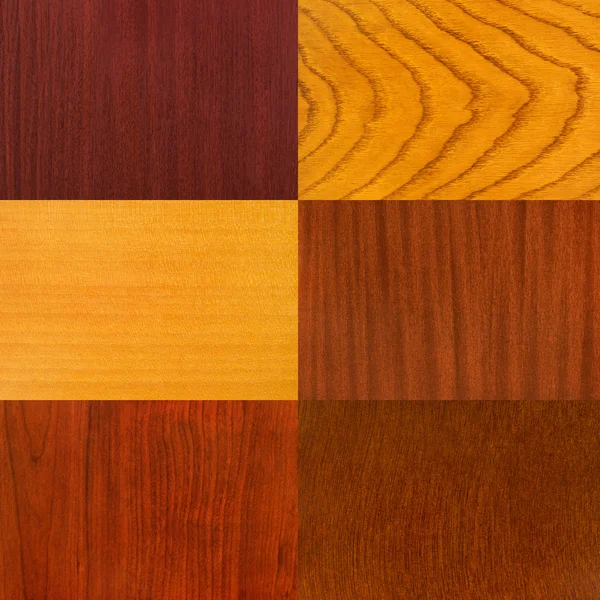 Set of wood backgrounds — Stock Photo, Image