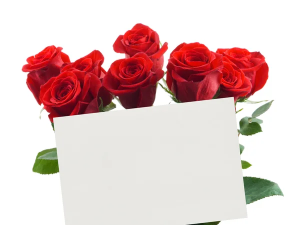 Tarjeta y rosas — Foto de Stock