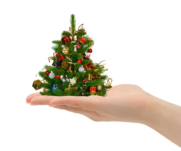Vánoční stromek v ruce — Stock fotografie