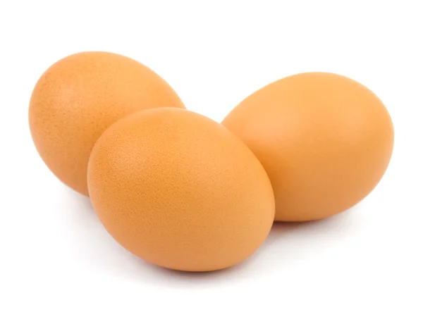 stock image Eggs