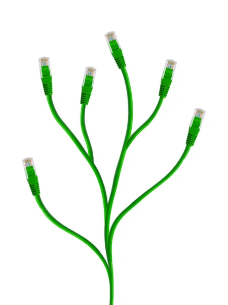 컴퓨터 케이블의 식물 — 스톡 사진