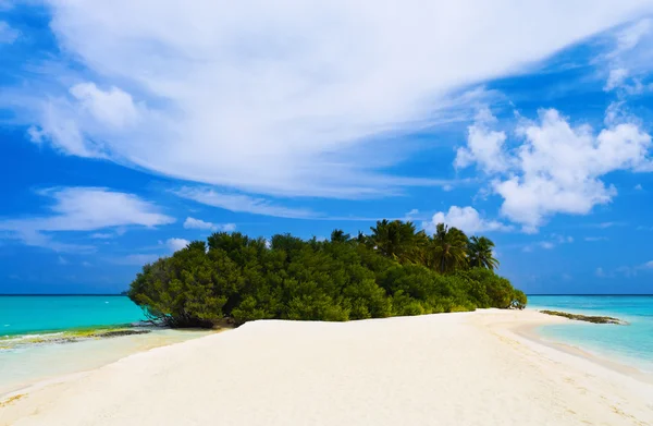 Tropical island and sand bank — Stock Photo, Image