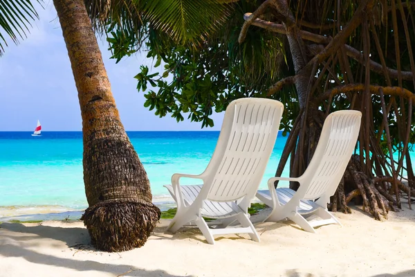 Stolar på tropisk strand — Stockfoto