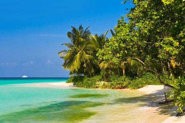 Tropisk djungel och stranden — Stockfoto