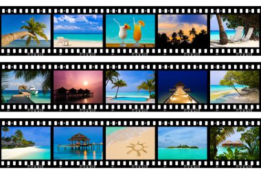 Frames of film - nature and travel (my photos) clipart